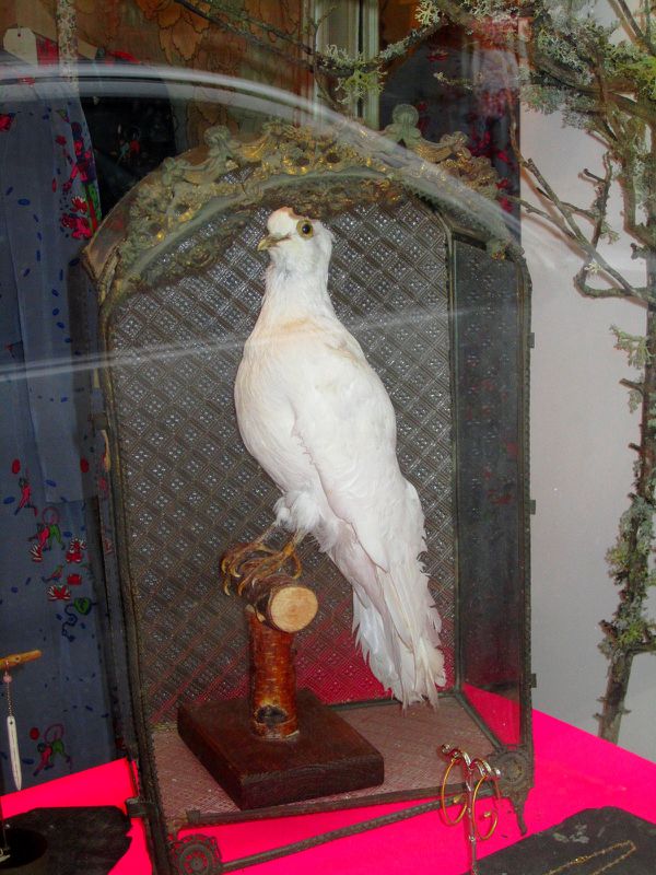 2013-01-03-211M.jpg