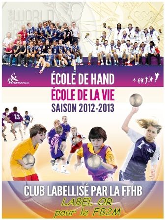 drapeau_ecole_de_hand_2012_02.jpg