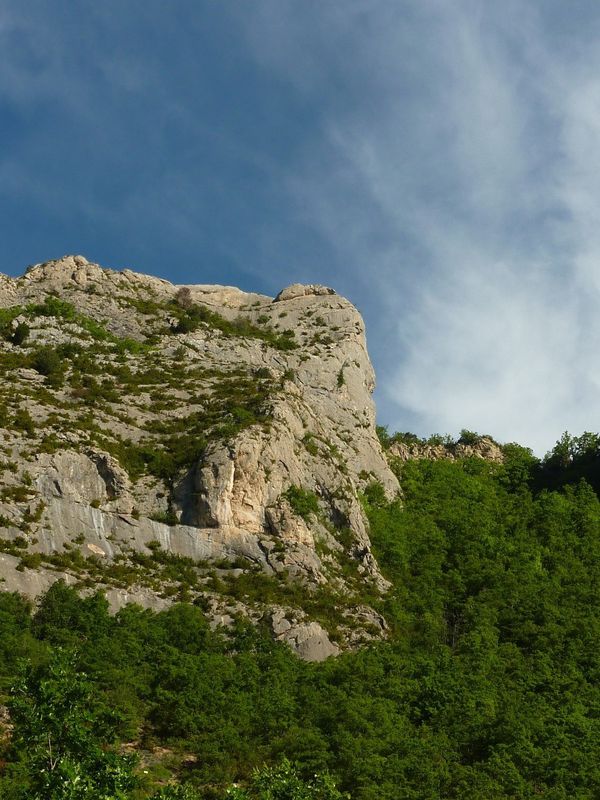 P1060383