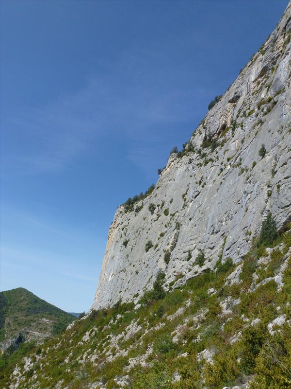 P1050217