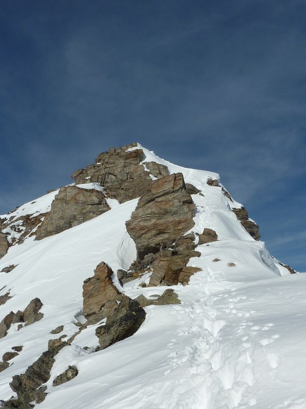 P1020529