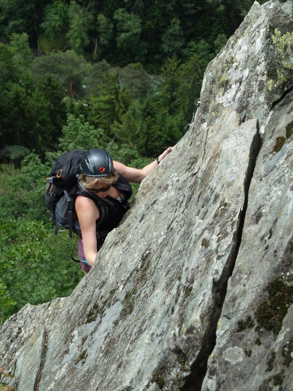 les singes 002