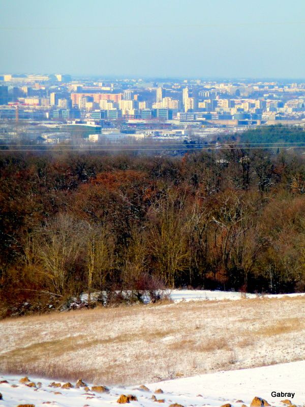 T18 - Vue de Toulouse