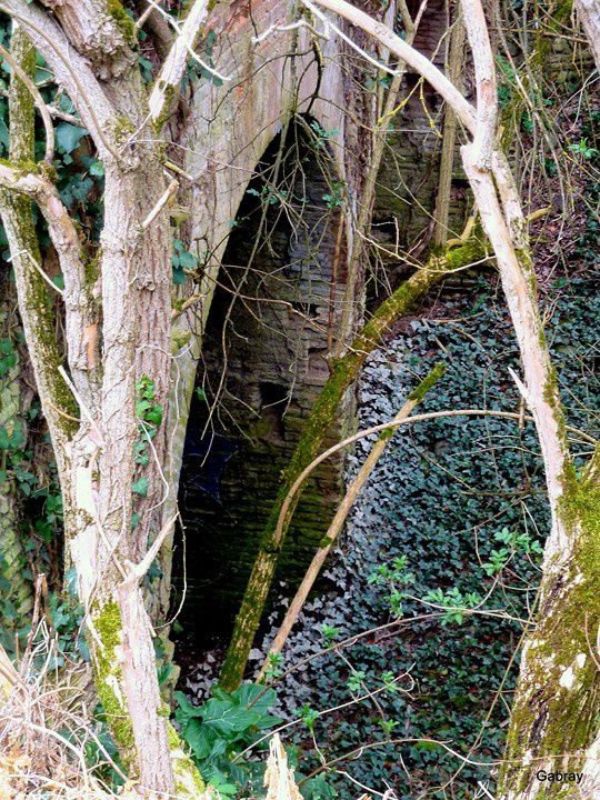 f03 - Sous le moulin