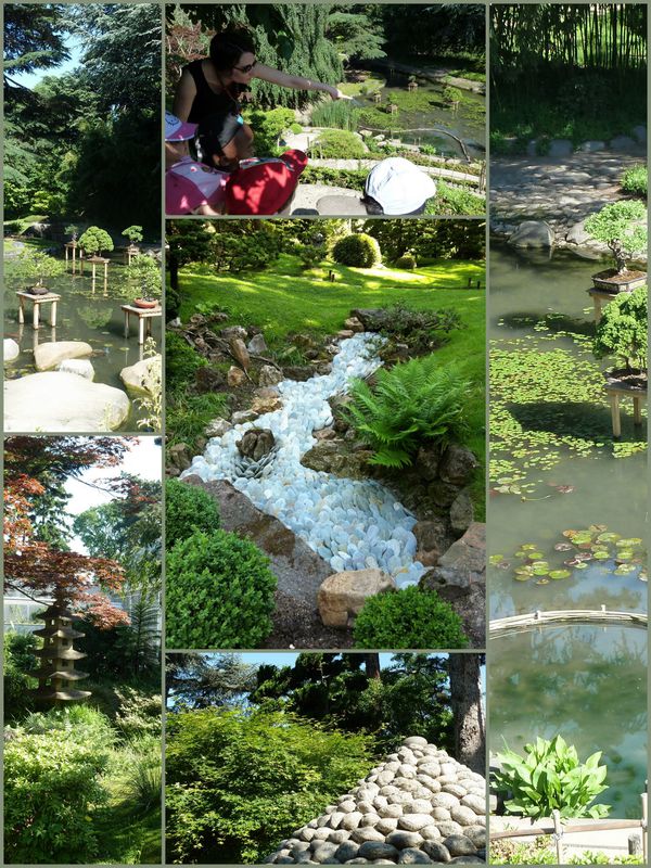 jardin-japonais.jpg