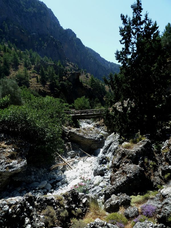 Samaria-15.jpg