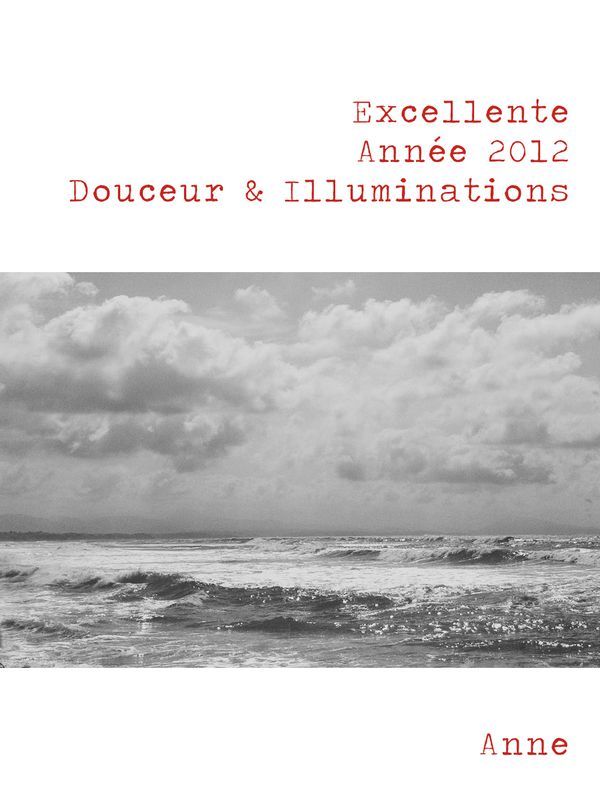 voeux2012.jpg