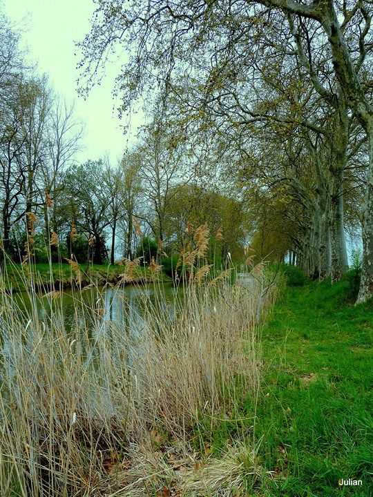 Y06 - Bord du canal