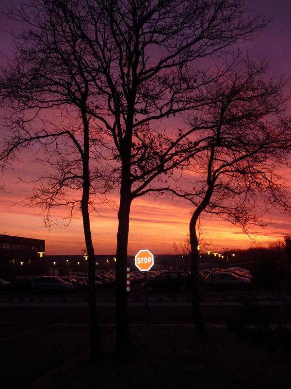 leverdesoleil