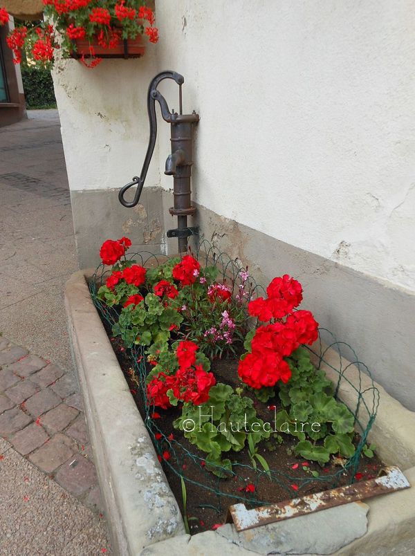 pompe-en-rouge.jpg