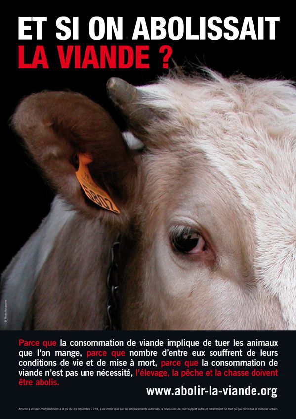 affiche-abolir-la-viande.jpg