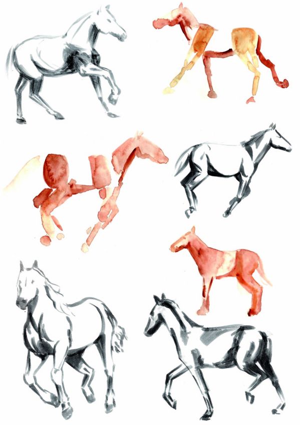 chevaux