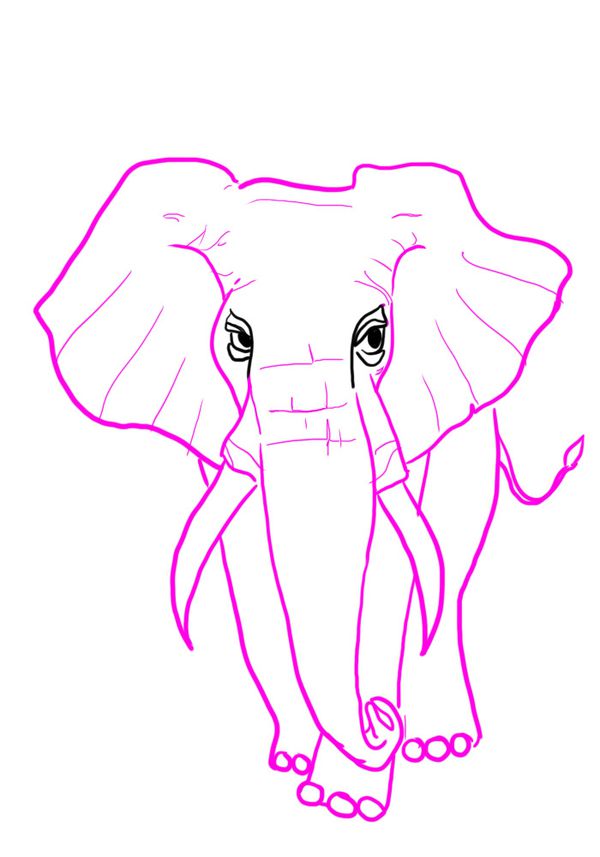 ELEPHANTPINK.jpg