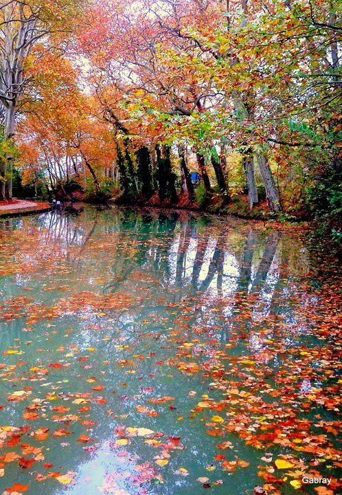 W11 - Feuilles & canal