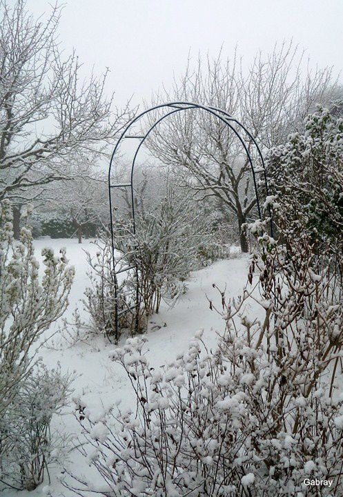 06 - Jardin et neige