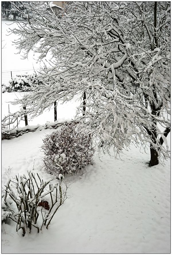 décembrrrr