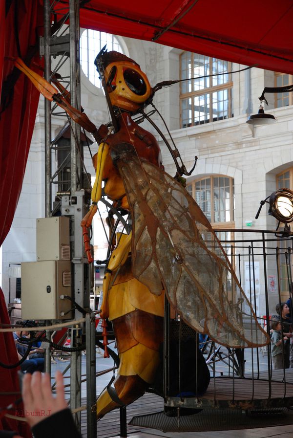manège Carré Sénart - 14