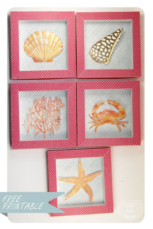 free-printable-shell-collection-box-6-copie-1.jpg