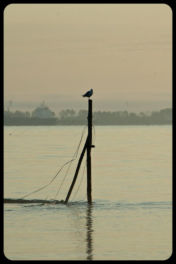 Lever de soleil sur l'estuaire saint nazaire