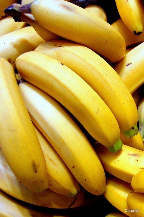 mv02---Des-bananes.JPG