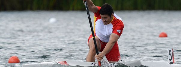 David-Cal-.jpg
