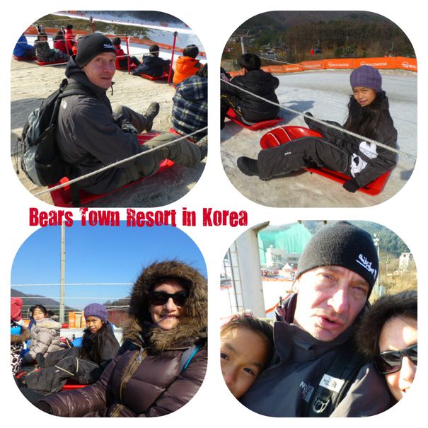 02-2014-Corée-J6-bears T-sur luge