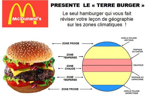 Terre-Burger.jpg