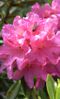 2010-07-13 Amuse Travel J6 06