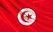 La révolution tunisienne (134)