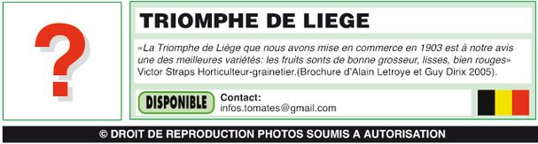 TRIOMPHE-DE-LIEGE-(Belge)