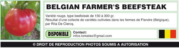 BELGIAN-FARMER'S-BEEFSTEAK-(Belge)