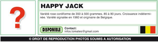 HAPPY-JACK-(belge)