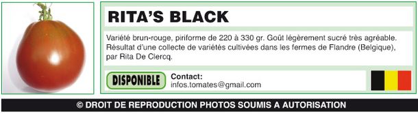 RITA’S BLACK-(Belge)