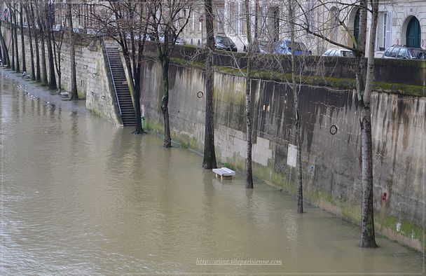Crue de la Seine 9 février 6