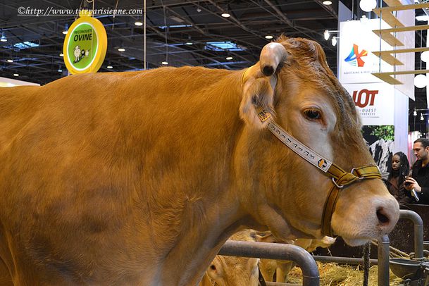 1er Mars 2012 Salon de l'Agriculture 1