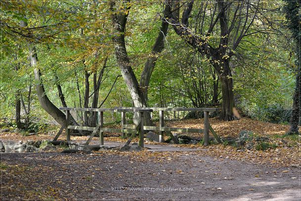 Bois de Vincennes article 5