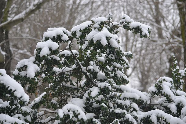 La photo du weekend 26 janvier 2013