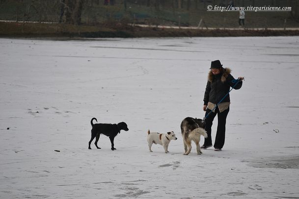 16 février 2012 Lac Daumesnil 3