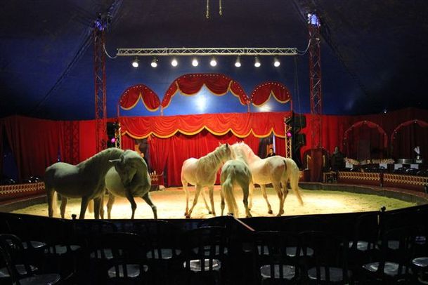 Festival-Arts-du-cirque-1328.JPG