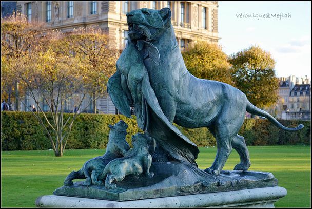 Lion Tuileries 3