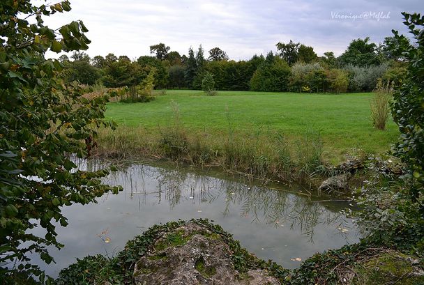 Hameau de la Reine étang 8