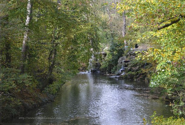 Bois de Vincennes article 6