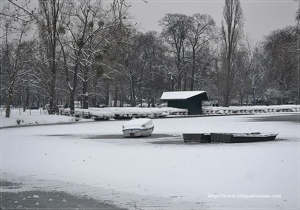 Lac Daumesnil 25 janvier 2013 3