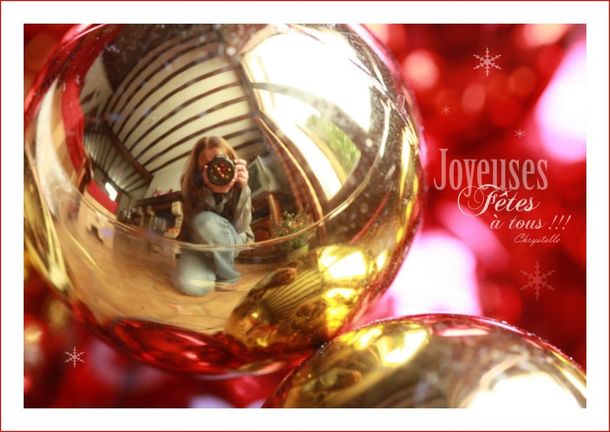 joyeuses-fêtes-2009-2010