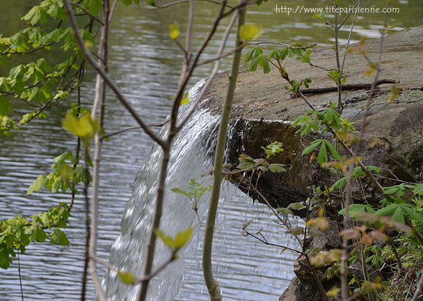 11 mai 2012 Lac des Minimes 3