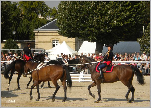 12 octobre 2011 La Garde Républicaine 3