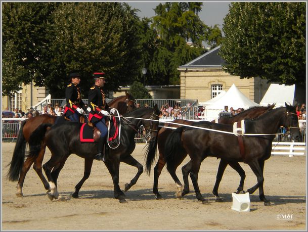 12 octobre 2011 La Garde Républicaine 2