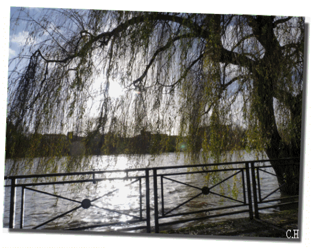 Vilaine-20-decembre-2012-14--2.gif
