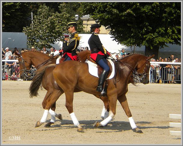 11 octobre 2011 Photo 2