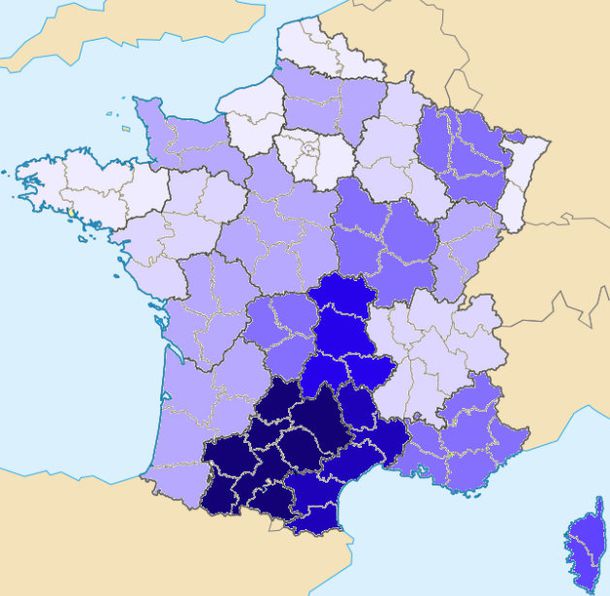 carte_France_departement-vierge-vide---Visionneuse-de-photo.jpg